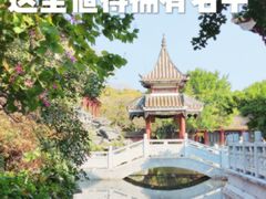 -顺峰山公园