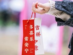 -梅花山(明孝陵内)