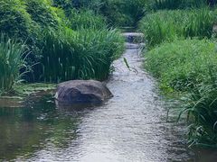 -中国茶叶博物馆(双峰馆区)