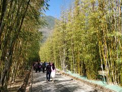 -蝴蝶泉公园