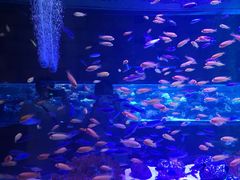 -zoonana室内动物园(东方福来德店)