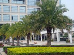 -厦门国家会计学院