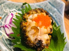 鲍鱼-松竹和日式料理(辽阳店)