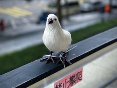 -福田美术馆——新童话主义－周艺文艺术季