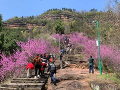 -天台山赤城山景区