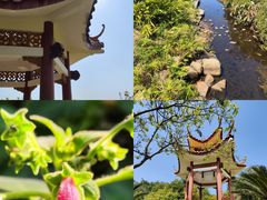 -深圳市中科院仙湖植物园