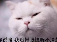 -清真·二嫂子煎饼果子(卫津路总店)