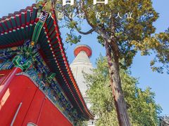 -妙应寺白塔