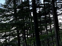 -黄山光明顶山庄