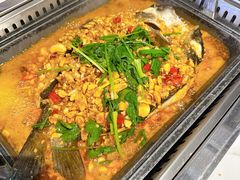 -黑猫馋纸包鱼(阳光店)
