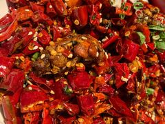 -红辣椒·川菜·火锅(张杨路店)