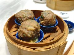 -点都德·毕德寮