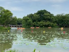 -西溪国家湿地公园