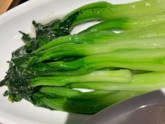 蚝油芥菜-千日贺茶餐厅(高新万达店)