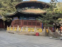 -潭柘寺景区