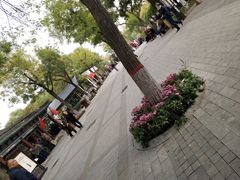 -文瀛公园