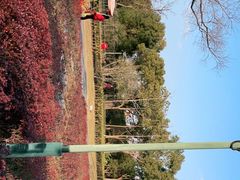 -嘉北郊野公园