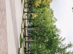 -新江湾城公园