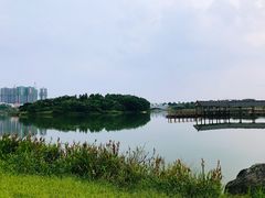 -飞来湖湿地公园