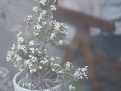 -枫桥边coffee(滨江路店)
