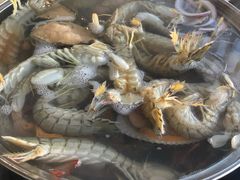 -春华海鲜城(广场西苑店)