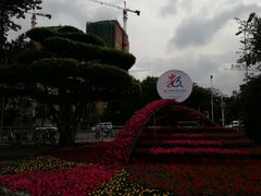-光明港公园