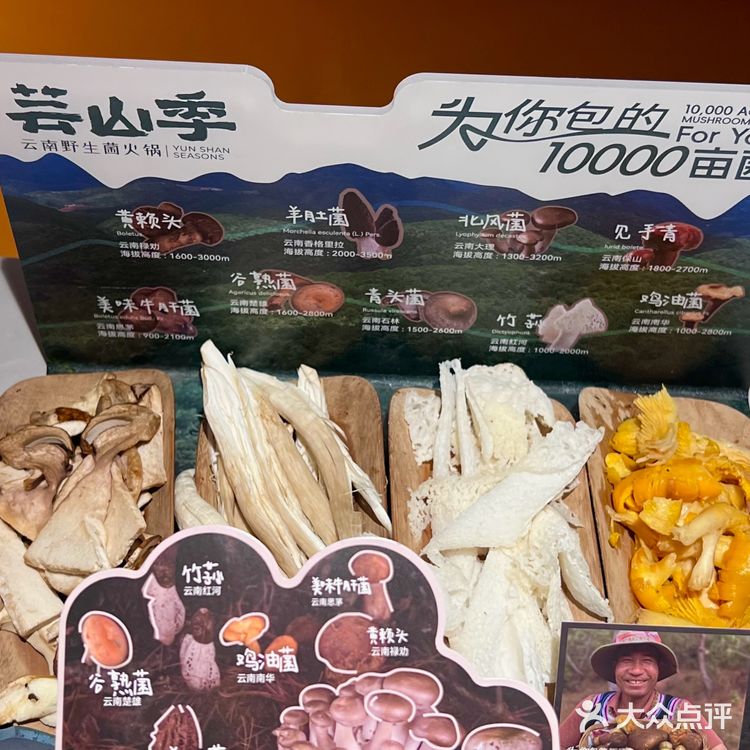 心心念念的见手青可算在上海吃上了！！