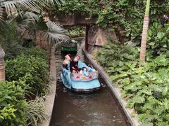 -南宫五洲植物乐园