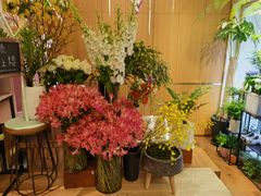 -蝶舍·MAISON PAPILLON