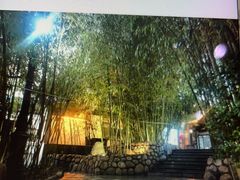 -清雅臻品·竹林院落·新派青岛菜(崂山店)