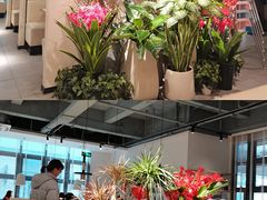 -Aqua Oasis 水天堂(爱山广场店)