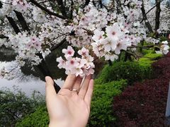 -百林公园-两江幸福广场