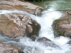 -广州白江湖森林公园