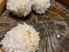 大力丸-风波庄(罍街分舵)