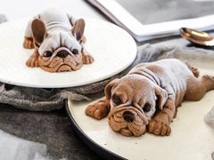 -Dark Horse·黑马蛋糕·低脂·低糖淡奶(金匙望湖大厦店)