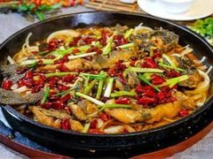 -老板恋上鱼(荣盛广场店)