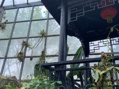 -东莞植物园