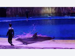 -华夏文旅海洋公园