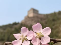 -居庸关长城
