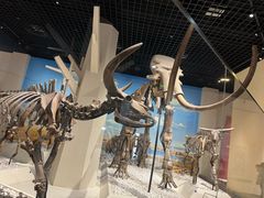 -国家自然博物馆