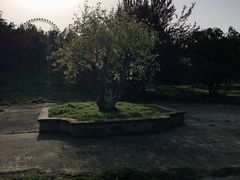 -祥源·阜阳生态乐园