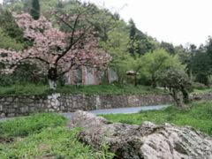 -贵州省植物园