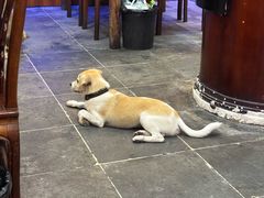 -长兴菜馆(高桥店)