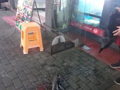 -全乐鱼馆·淳牌有机鱼直营店