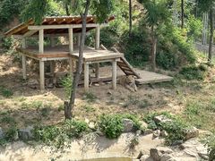 -石家庄市动物园