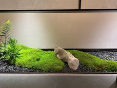 -宋宴(虎跑店)