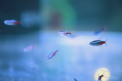 -酷嗒动物文化乐园(cutezoo西溪乐天城店)