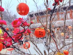 -八奇洞景区