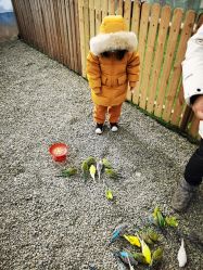 -萌宠亲子动物乐园(槐房万达店)