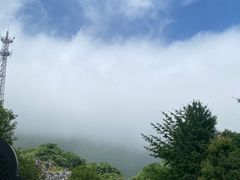 -千岛湖石林